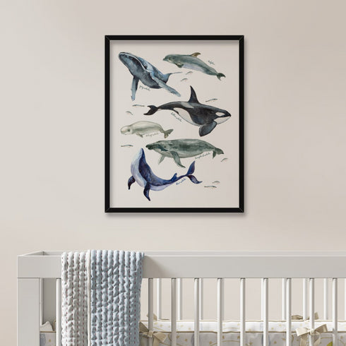Illustrated Whales Wall Art Frame